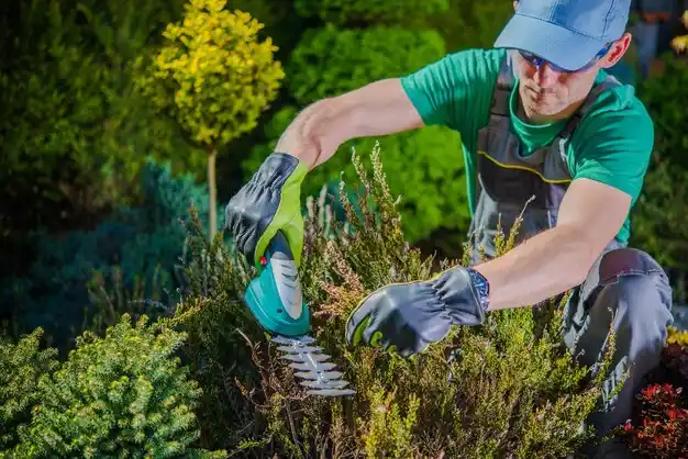 landscaping services Pickens
